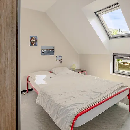 Colibri 12 P Ньивпорт